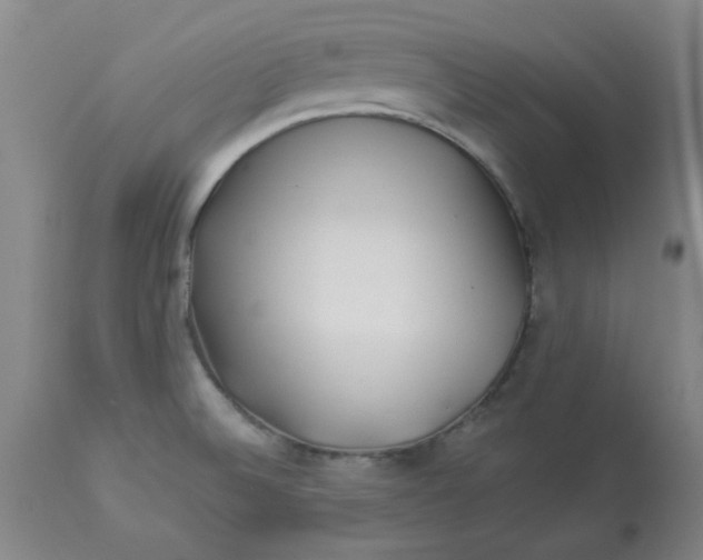 X0000112881524200909181836