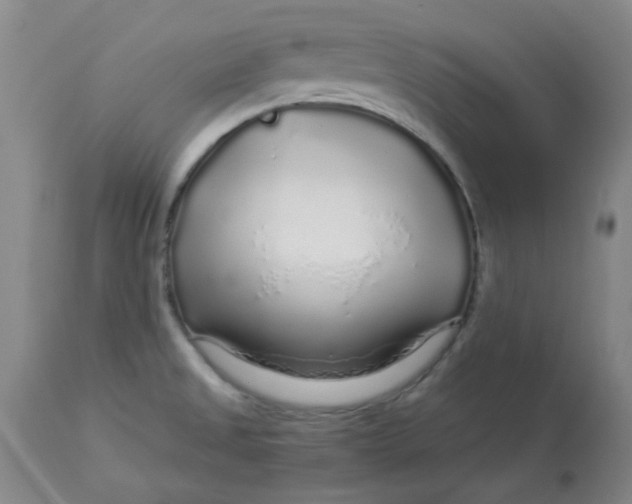 X0000112881525200909181836