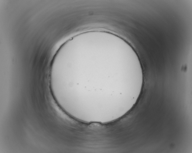 X0000112881526200909181836