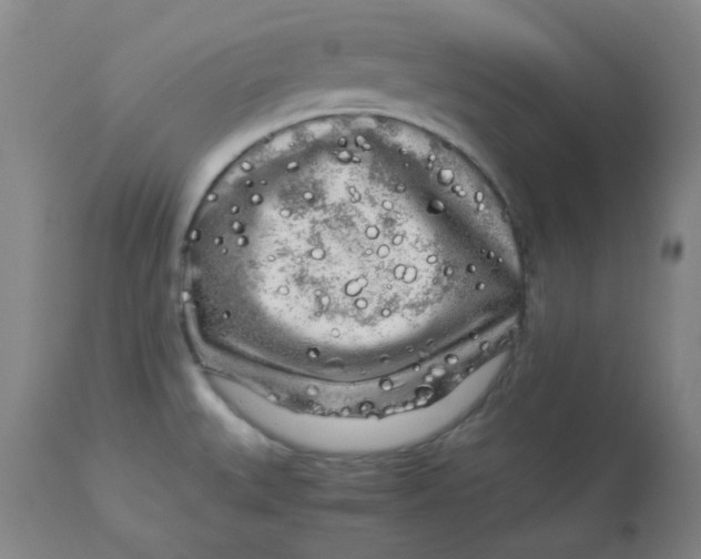 X0000112881527200909181836