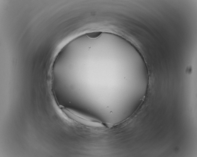 X0000112881528200909181836