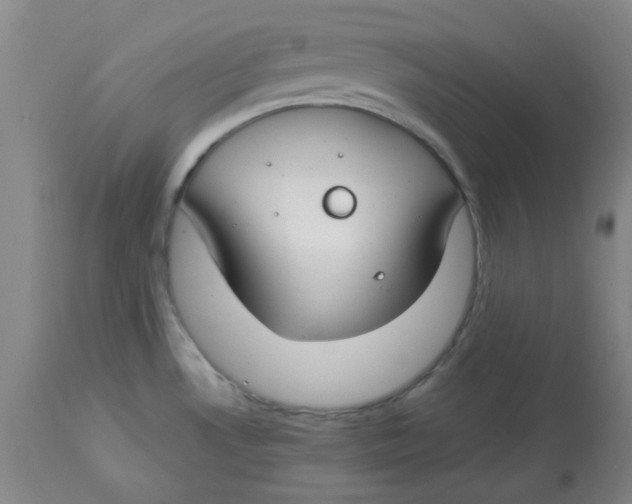 X0000112881530200909181836