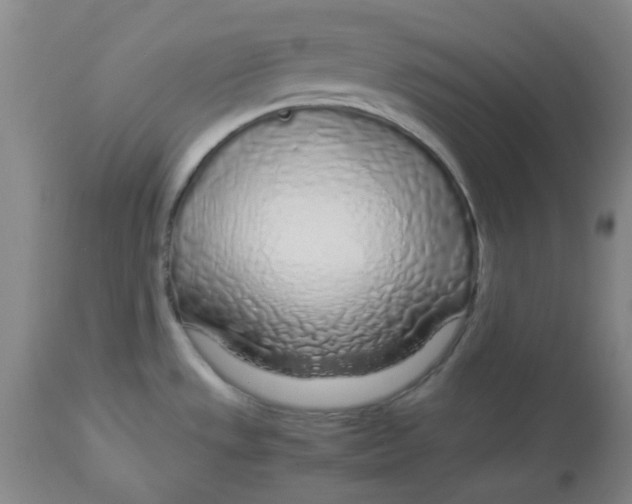 X0000112881533200909181836