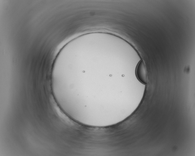 X0000112881534200909181836