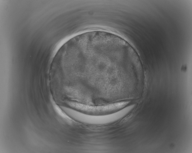 X0000112881535200909181836