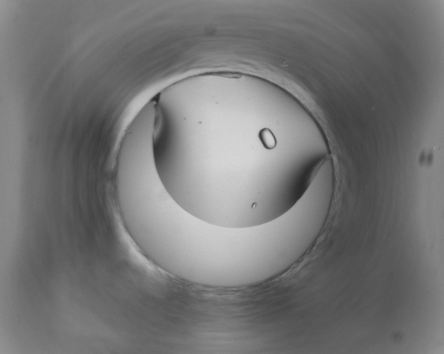 X0000112881536200909181836