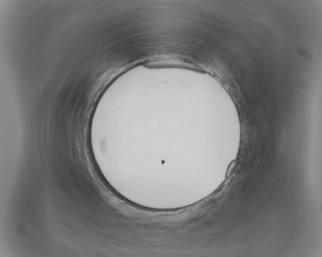 X0000112880001200910021402