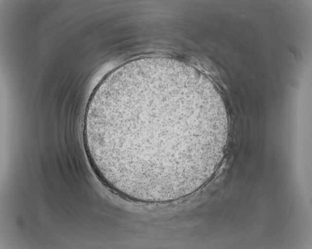 X0000112880003200910021402