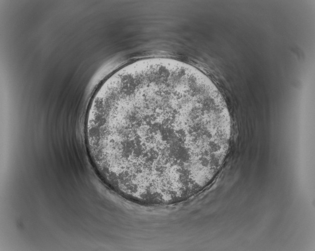 X0000112880004200910021402