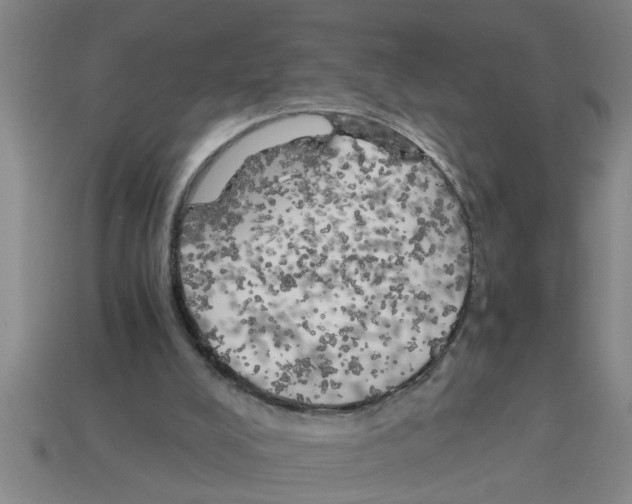 X0000112880008200910021402