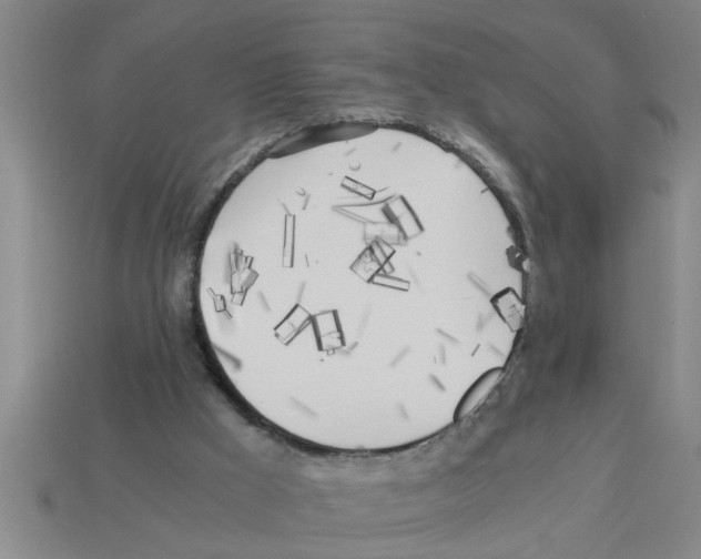 X0000112880009200910021402