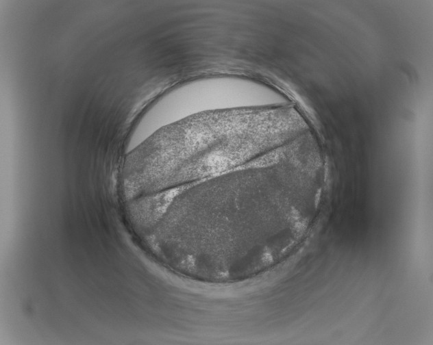 X0000112880010200910021402