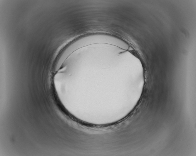 X0000112880012200910021402