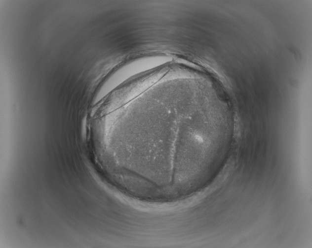 X0000112880014200910021402