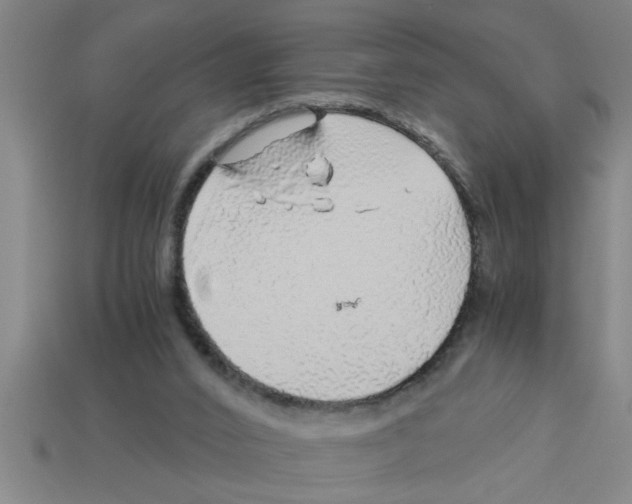 X0000112880016200910021402