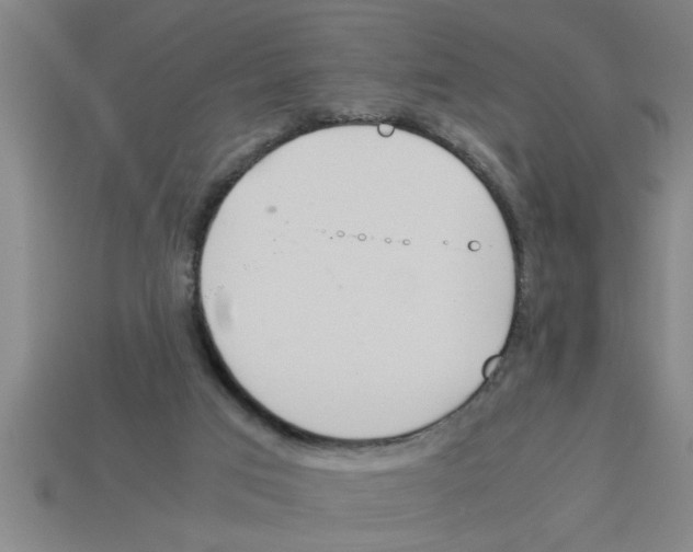 X0000112880017200910021402