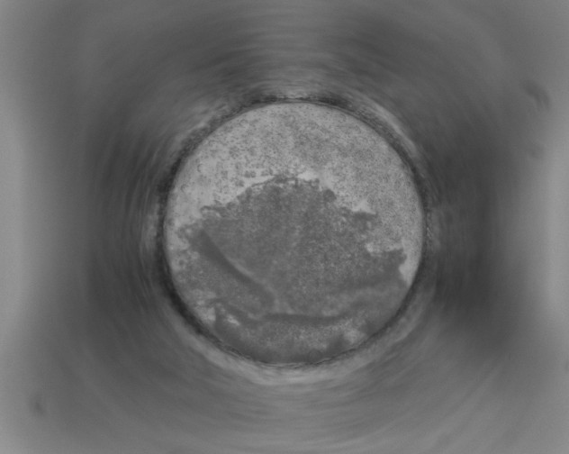 X0000112880018200910021402