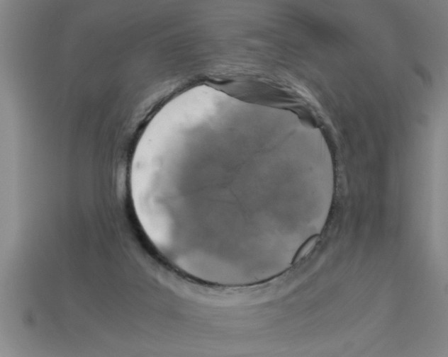 X0000112880019200910021402