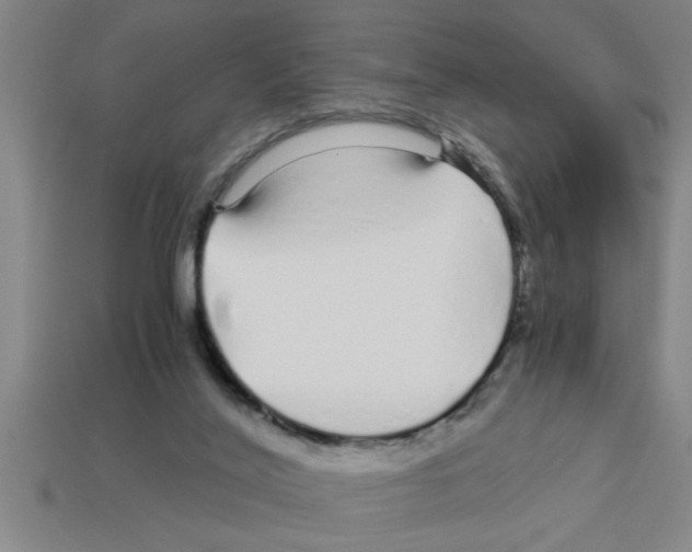 X0000112880020200910021402