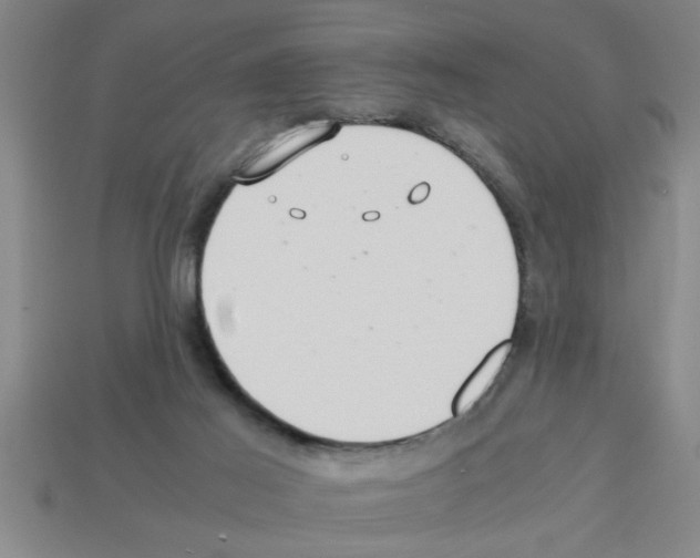 X0000112880021200910021402