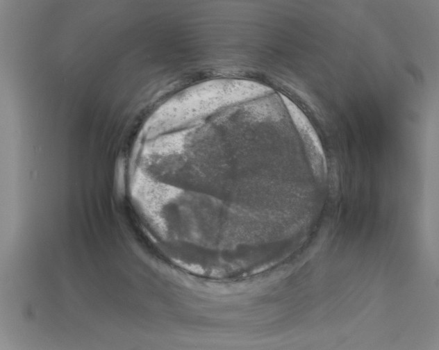 X0000112880022200910021402