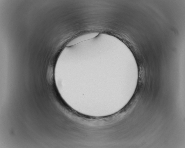 X0000112880024200910021402