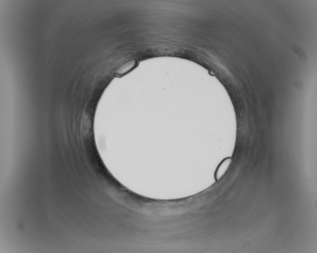 X0000112880025200910021402