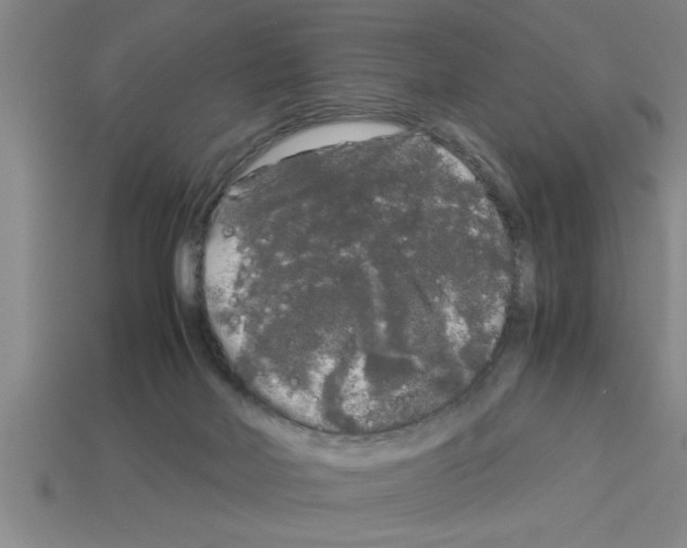 X0000112880026200910021402