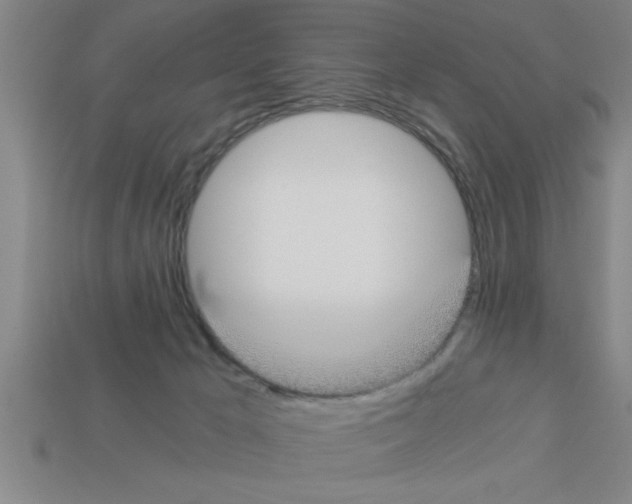 X0000112880029200910021402