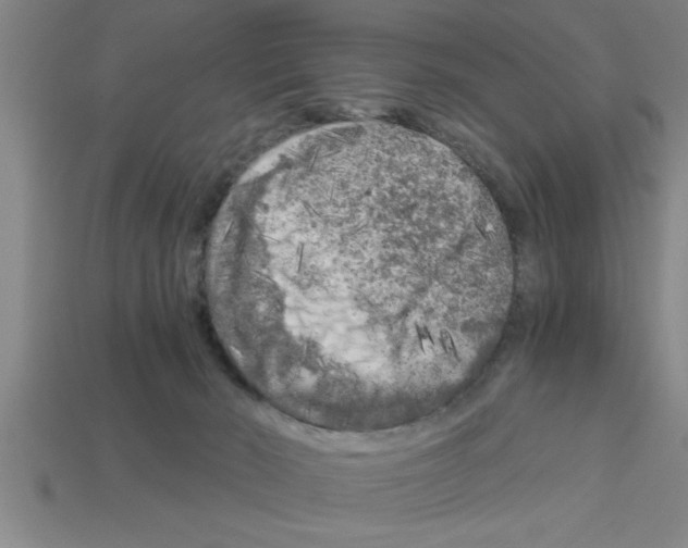 X0000112880030200910021402