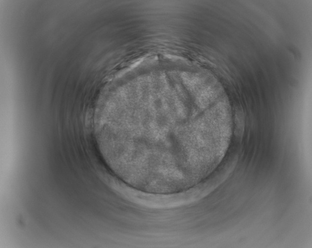 X0000112880034200910021402