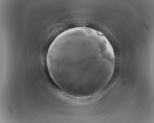 X0000112880035200910021402