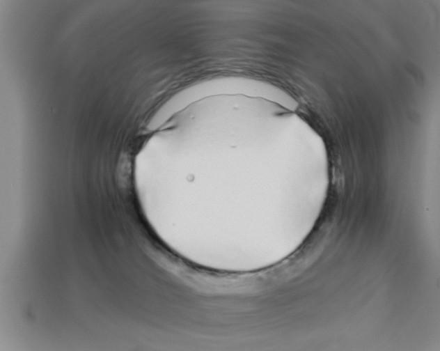 X0000112880036200910021402