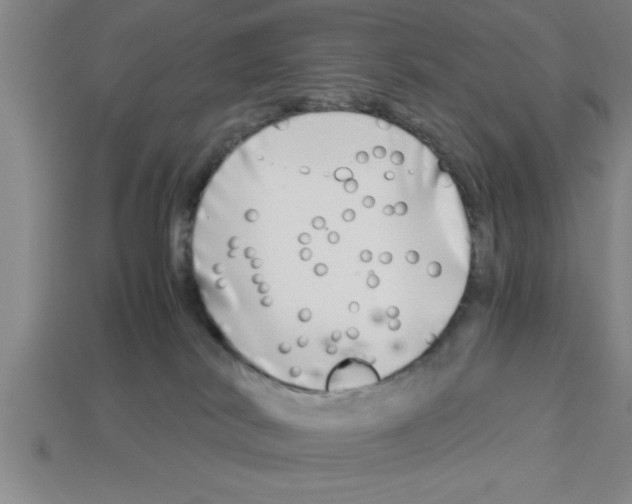 X0000112880038200910021402