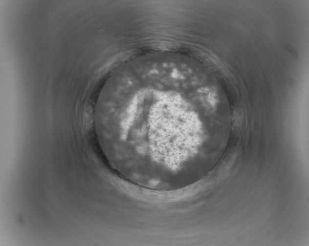 X0000112880043200910021402