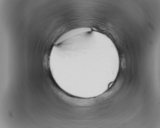 X0000112880044200910021402