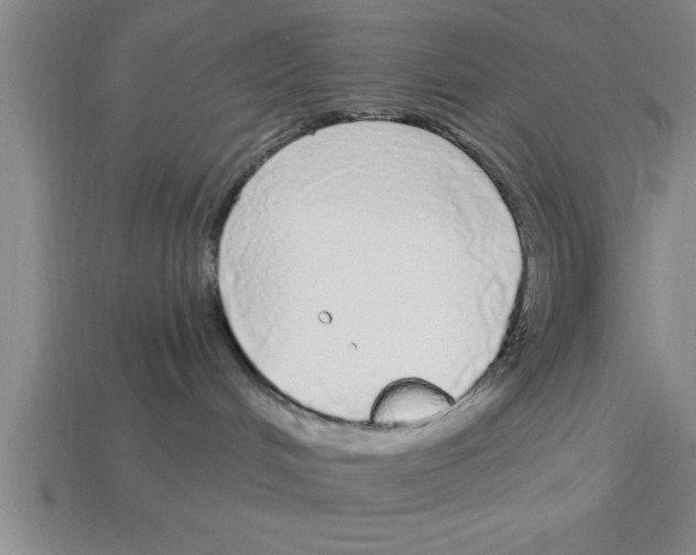 X0000112880048200910021402