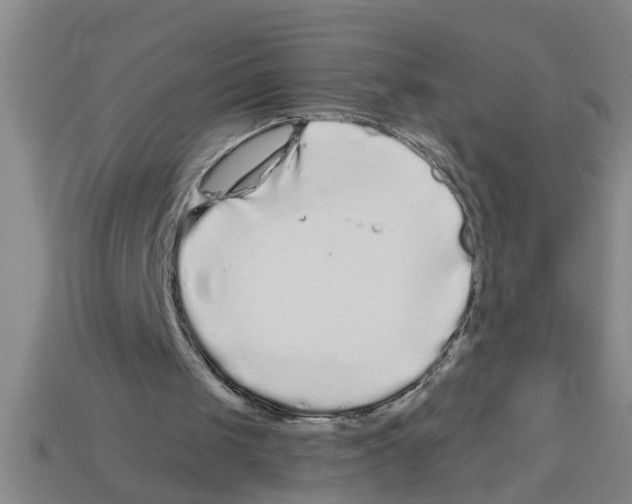 X0000112880049200910021401