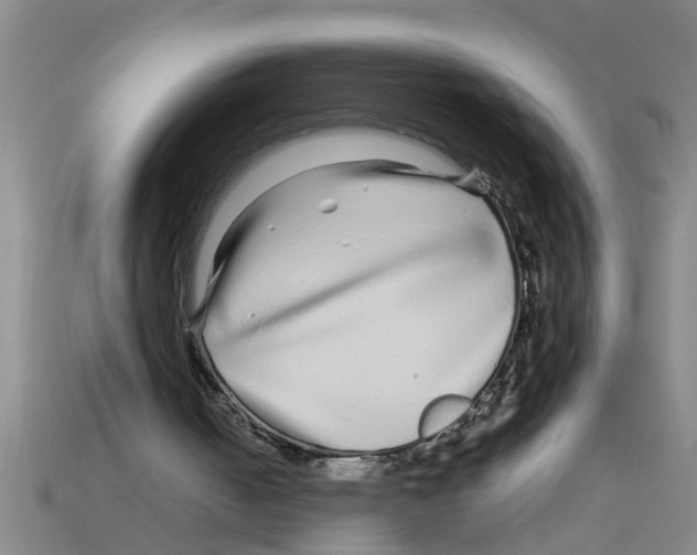 X0000112880050200910021401