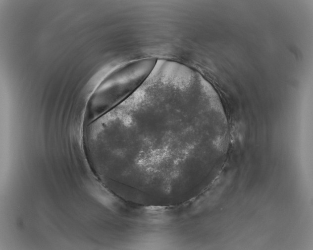 X0000112880052200910021401