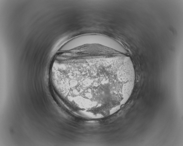 X0000112880053200910021401