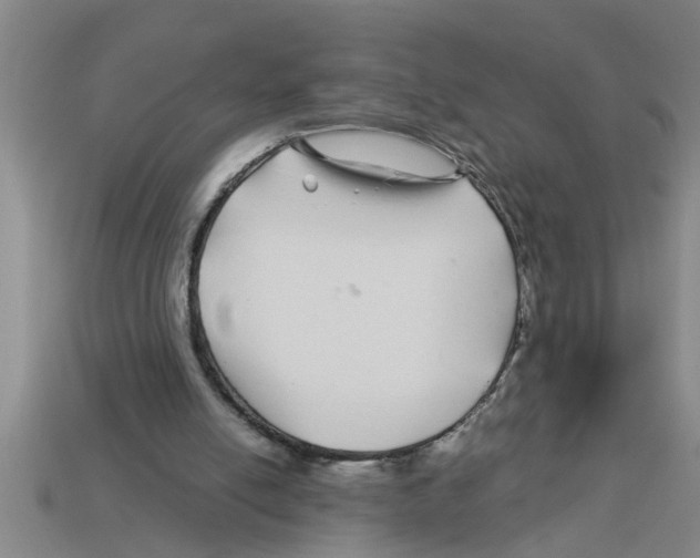 X0000112880054200910021401