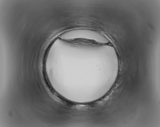 X0000112880055200910021401