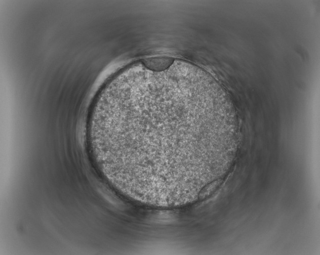 X0000112880056200910021401