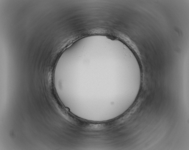 X0000112880057200910021401