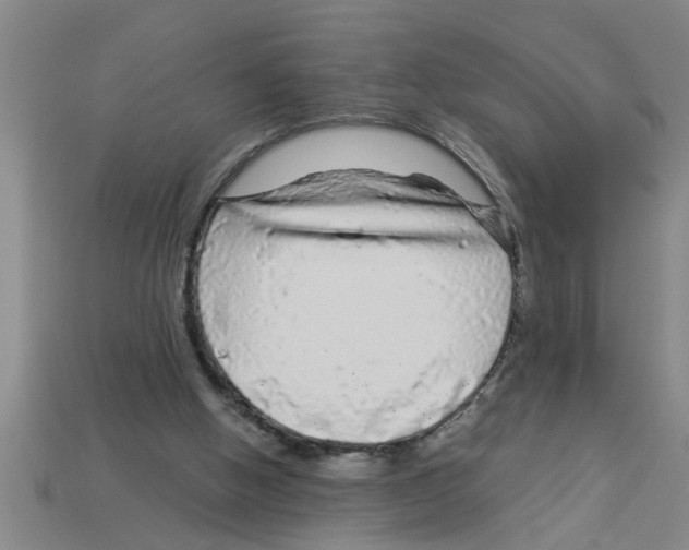 X0000112880058200910021401