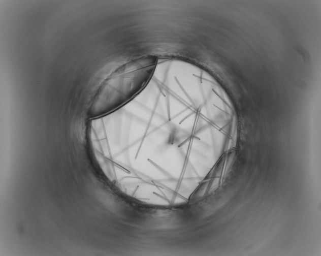 X0000112880060200910021401