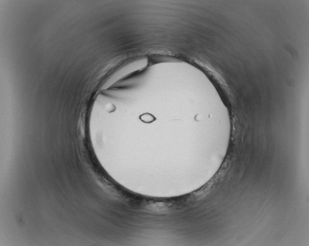 X0000112880062200910021401