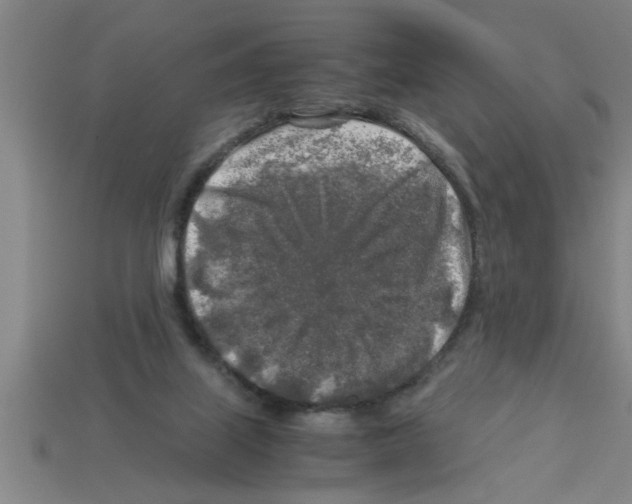 X0000112880067200910021401