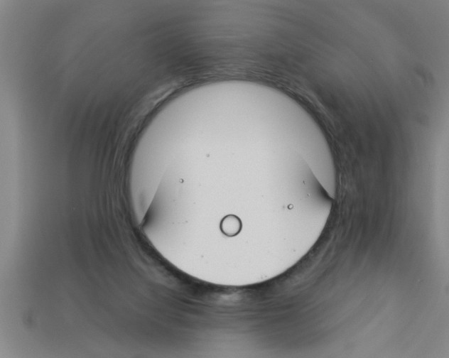 X0000112880068200910021401